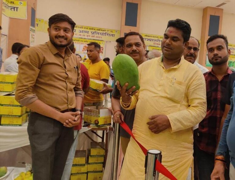 2 लाख 70 हजार रुपए किलो आम ..! एक आम में होते है, दो तरह के स्वाद.. राजधानी रायपुर में लगी है आमों के विभिन्न प्रजातियों की प्रदर्शनी..