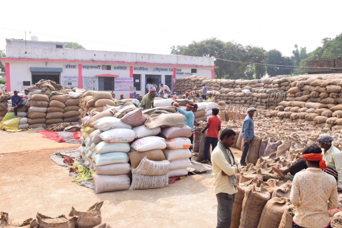 छत्तीसगढ़ में 6.76 लाख मीट्रिक टन धान की हुई खरीदी : अब तक राज्य के लगभग 1.44 लाख से अधिक किसानों ने बेचा धान..