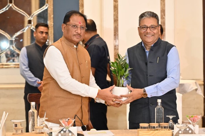 पीएम सूर्यघर मुफ्त बिजली योजना से 2027 तक 5 लाख हितग्राहियों को किया जाएगा लाभान्वित: मुख्यमंत्री साय