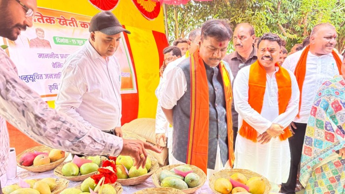 कृषि विज्ञान केंद्र की कार्यशाला: दंतेवाड़ा के किसान सीखेंगे जैव उर्वरक-प्राकृतिक कीट प्रबंधन, उपज का मिलेगा बेहतर दाम