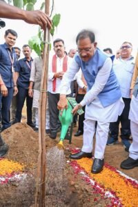 मुख्यमंत्री विष्णुदेव साय ने अपनी माँ के नाम पर लगाया पीपल का पौधा, वन महोत्सव-2026 का हुआ शुभारंभ