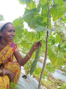 बस्तर के खेतों में बही समृद्धि की बयार
