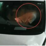 कार लहराते हुए फुटपाथ पर चढ़ी, बाल-बाल बचे लोग; फिर सड़क पर कपल का रोमांस