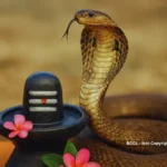 सावन का पहला सोमवार आज: भगवान शिव की विशेष पूजा से मिलती है मनचाही सिद्धि, जानिए पूजा विधि और महत्व