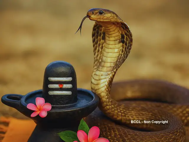 सावन का पहला सोमवार आज: भगवान शिव की विशेष पूजा से मिलती है मनचाही सिद्धि, जानिए पूजा विधि और महत्व