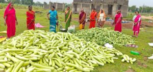 सरिया की 14 महिलाएं ‘लखपति दीदी’ बनने की राह पर