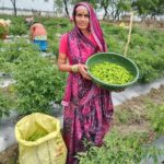 स्वयं सहायता समूह से जुड़कर दशमत साहू ने कमाए 2 लाख रुपए, बनीं आत्मनिर्भरता की मिसाल