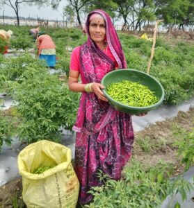 स्वयं सहायता समूह से जुड़कर दशमत साहू ने कमाए 2 लाख रुपए, बनीं आत्मनिर्भरता की मिसाल