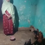 बसंती नाग बनीं आत्मनिर्भरता की मिसाल: ‘सेवा संकल्प अभियान’ के तहत चूजा पालन से संवर रही आजीविका