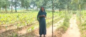 सफलता की कहानी : समेकित खेती से संवरी केकराखोली की तस्वीर