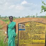 सेवा की कहानी: डबरी ने सिंचाई की चिंता की कम, मछली पालन से जोशमनि के परिवार को मिली अतिरिक्त आमदनी की राह