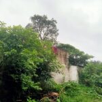 छत्तीसगढ़ में मानसून की झड़ी, 24 जिलों में आज बारिश का अलर्ट