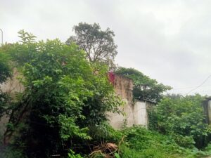 छत्तीसगढ़ में मानसून की झड़ी, 24 जिलों में आज बारिश का अलर्ट