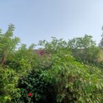 छत्तीसगढ़ में फिर बदलेगा मौसम: 30 जिलों में बारिश के साथ बिजली गिरने की चेतावनी