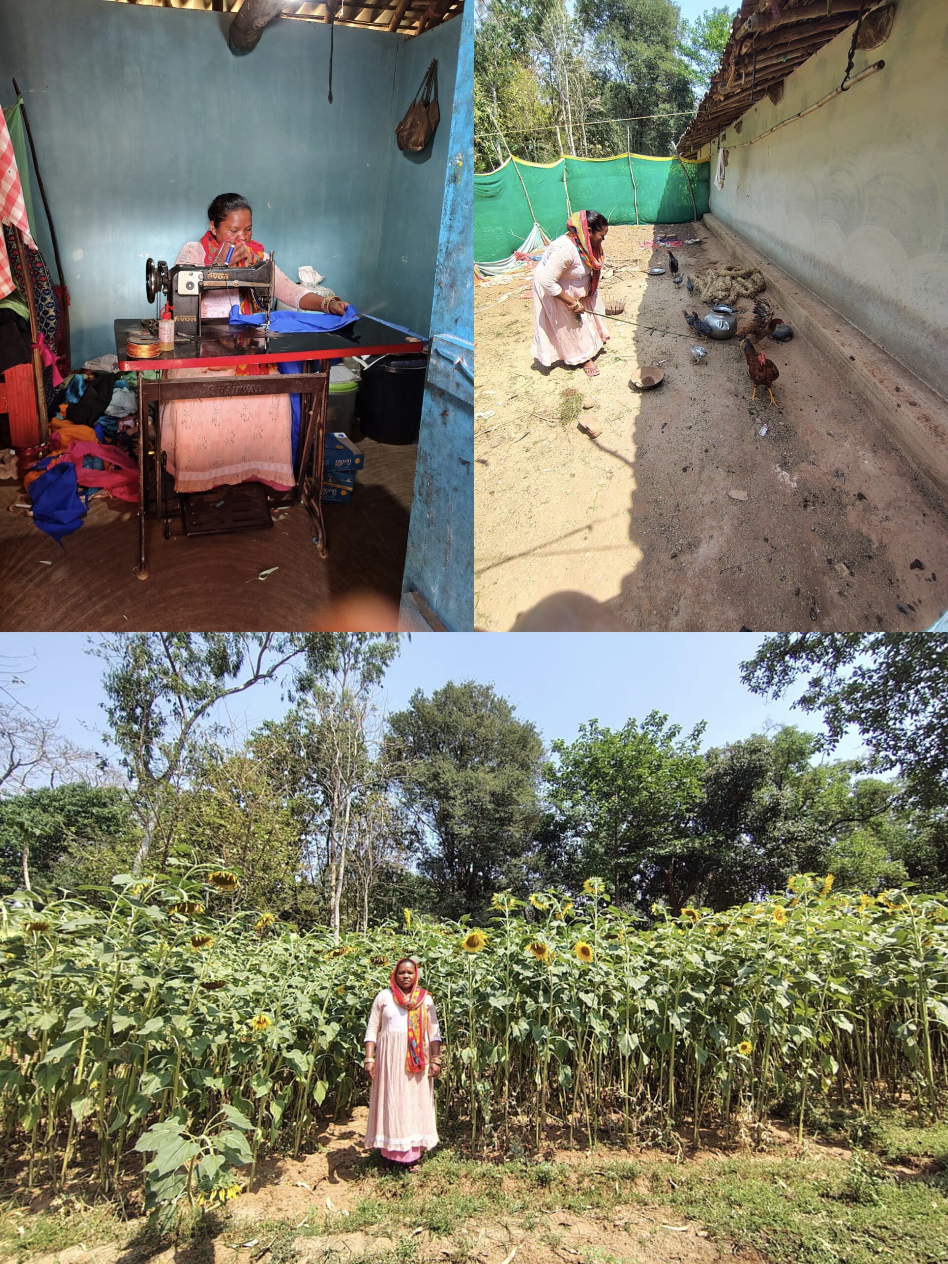 बिहान से प्रमिला ने लिखी आत्मनिर्भरता की कहानी, खेती के साथ सिलाई और मुर्गी पालन बना आय का मजबूत आधार