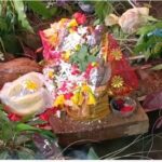 कमरछठ में आखिर क्यों जरूरी है पसहर चावल, 6 भाजियां और ‘पीली पोती’?.. जानिए छत्तीसगढ़ के इस अनोखे पर्व की पूरी कहानी