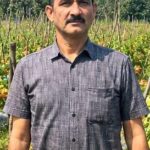 उन्नत टमाटर की खेती से शाहिद की मेहनत लाई रंग, 2 एकड़ में कमाए 1.20 लाख रुपये