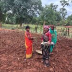 लेमन ग्रास की खुशबू से महक रही आत्मनिर्भरता, जीपीएम की महिलाएं बढ़ रहीं ‘लखपति दीदी’ बनने की राह पर