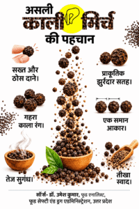 गाजियाबाद में 13 लाख की नकली काली मिर्च जब्त: जानिए आपके किचन में मौजूद मसालों का राजा असली है या मिलावटी जहर