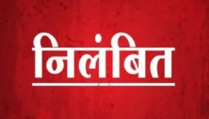 कलेक्टर की बड़ी कार्रवाई, पांच पटवारी निलंबित; राजस्व कार्यों में लापरवाही पर गिरी गाज
